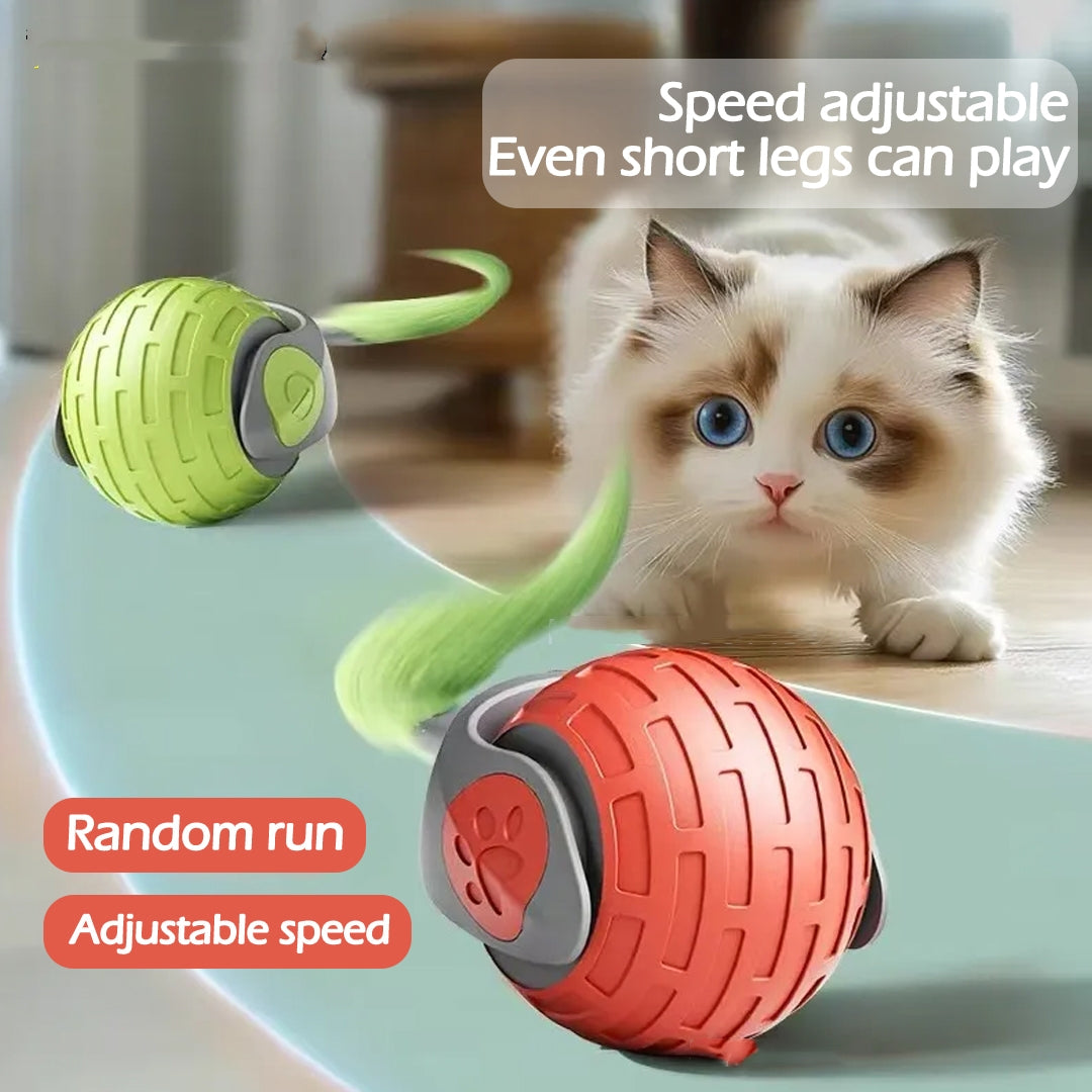 New Interactive Cat Toys Ball
